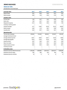BUSINESS BUDGETS - FINANCIAL PLATFORM - Budgeto
